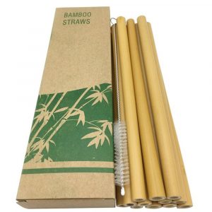 10Pcs/Set Natural Bamboo Straw Reusable Drinking Straws with Case + Clean Brush