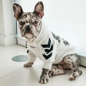 Fashion Winter Dog Hoodie