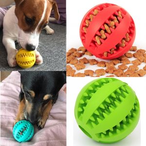 Dog Food Leaking Ball Toy
