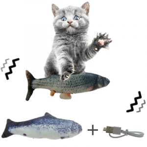 Interactive USB Charging Cat Toy