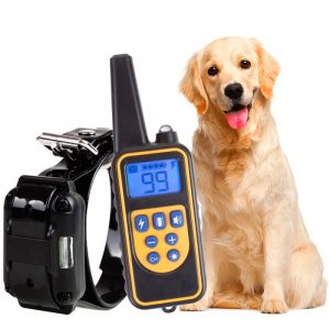 800m Electric Dog Training Collar With Remote Control