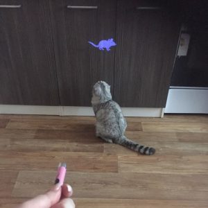Creative and Funny Cat light Pointer With Bright Animation Mouse