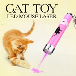 Creative and Funny Cat light Pointer With Bright Animation Mouse