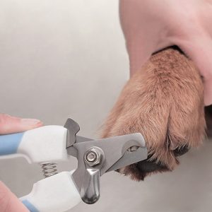 Professional Pet Nail Clippers For Dogs & Cats