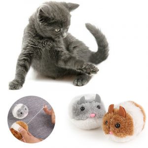 Cute Interactive Mouse For Cats