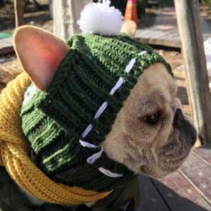 Cute Winter Dog Cap