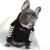 Fashion Winter Dog Hoodie