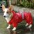 Dog Waterproof  Reflective Jumpsuit